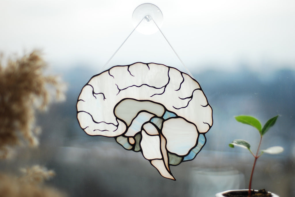 Human Brain Stained Glass Suncatcher, Anatomy Art Decor, Neurology Science Gift, Medical Professional Window Hanging Handcrafted Biology Art
