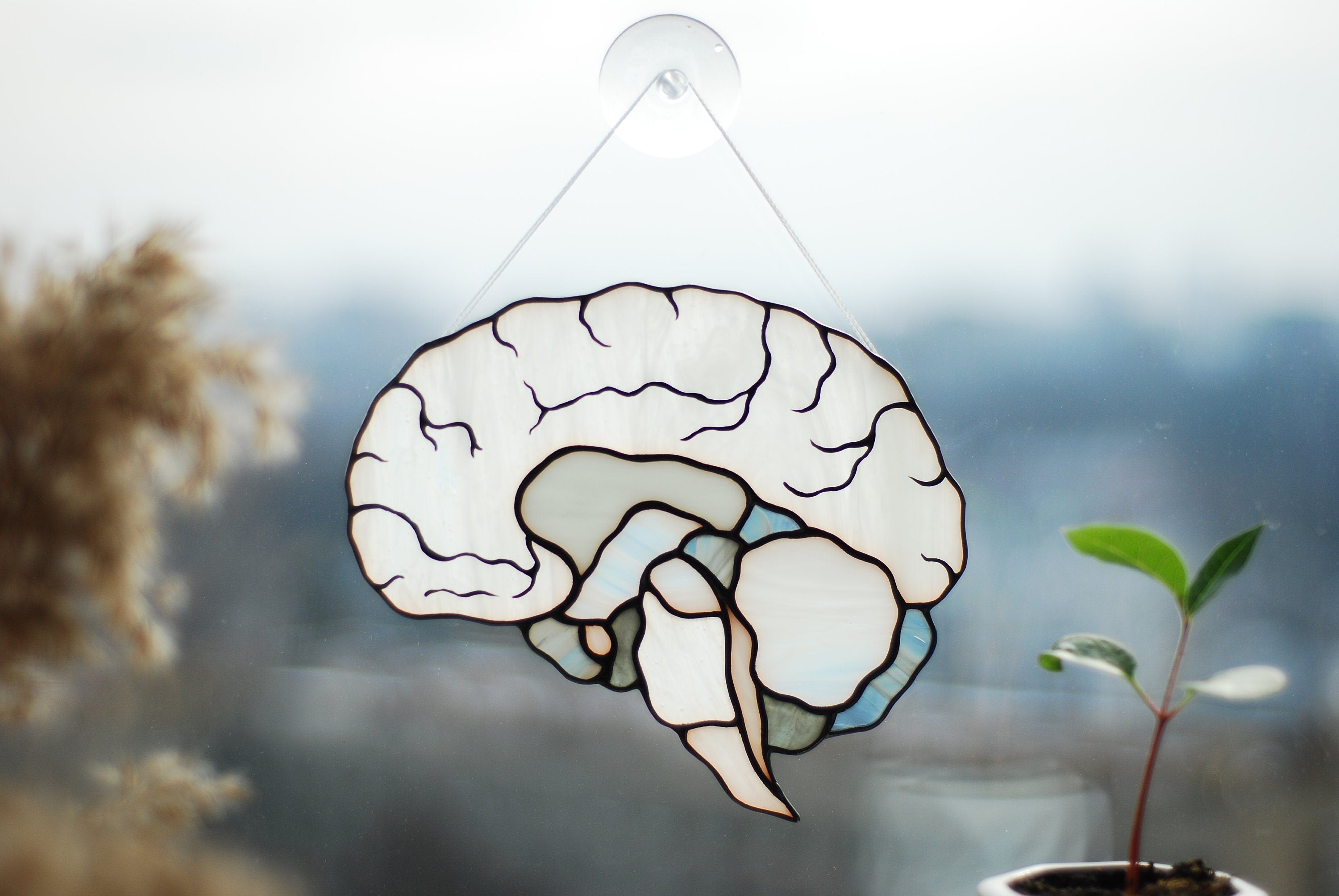Human Brain Stained Glass Suncatcher, Anatomy Art Decor, Neurology Science Gift, Medical Professional Window Hanging Handcrafted Biology Art