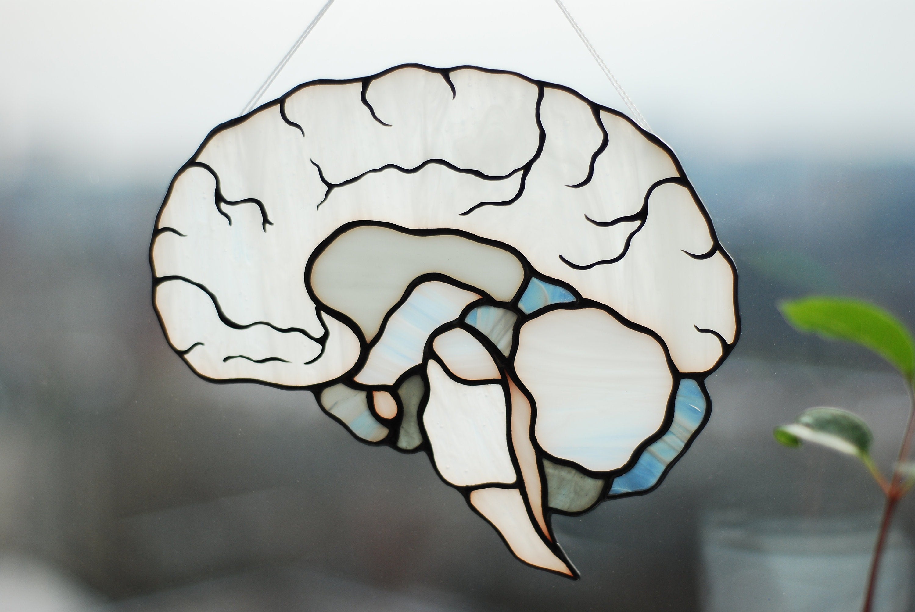 Human Brain Stained Glass Suncatcher, Anatomy Art Decor, Neurology Science Gift, Medical Professional Window Hanging Handcrafted Biology Art