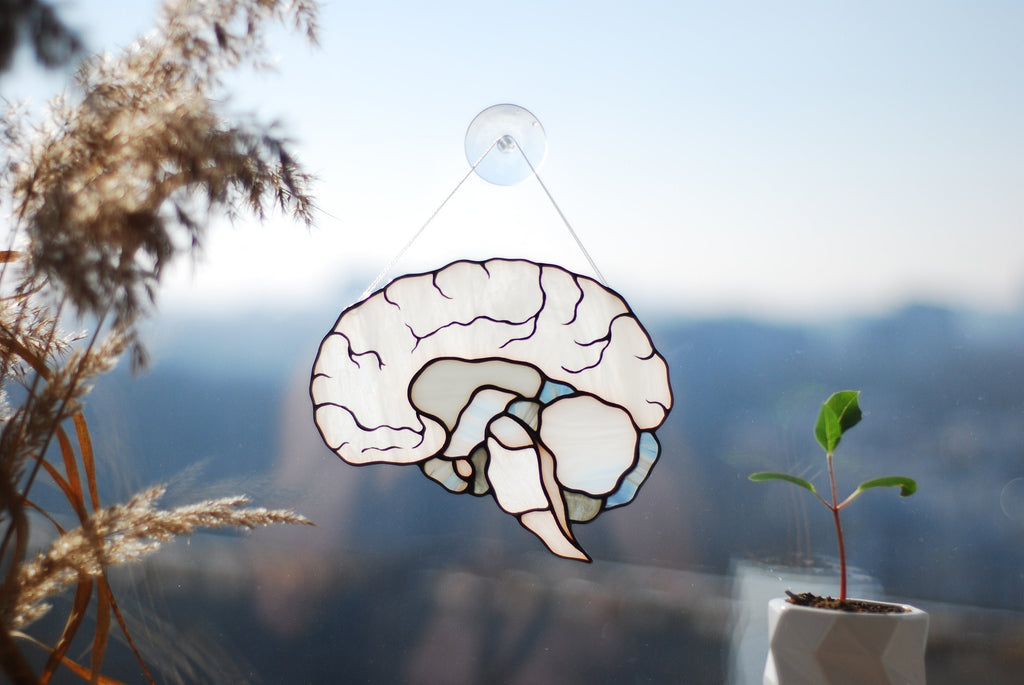 Human Brain Stained Glass Suncatcher, Anatomy Art Decor, Neurology Science Gift, Medical Professional Window Hanging Handcrafted Biology Art
