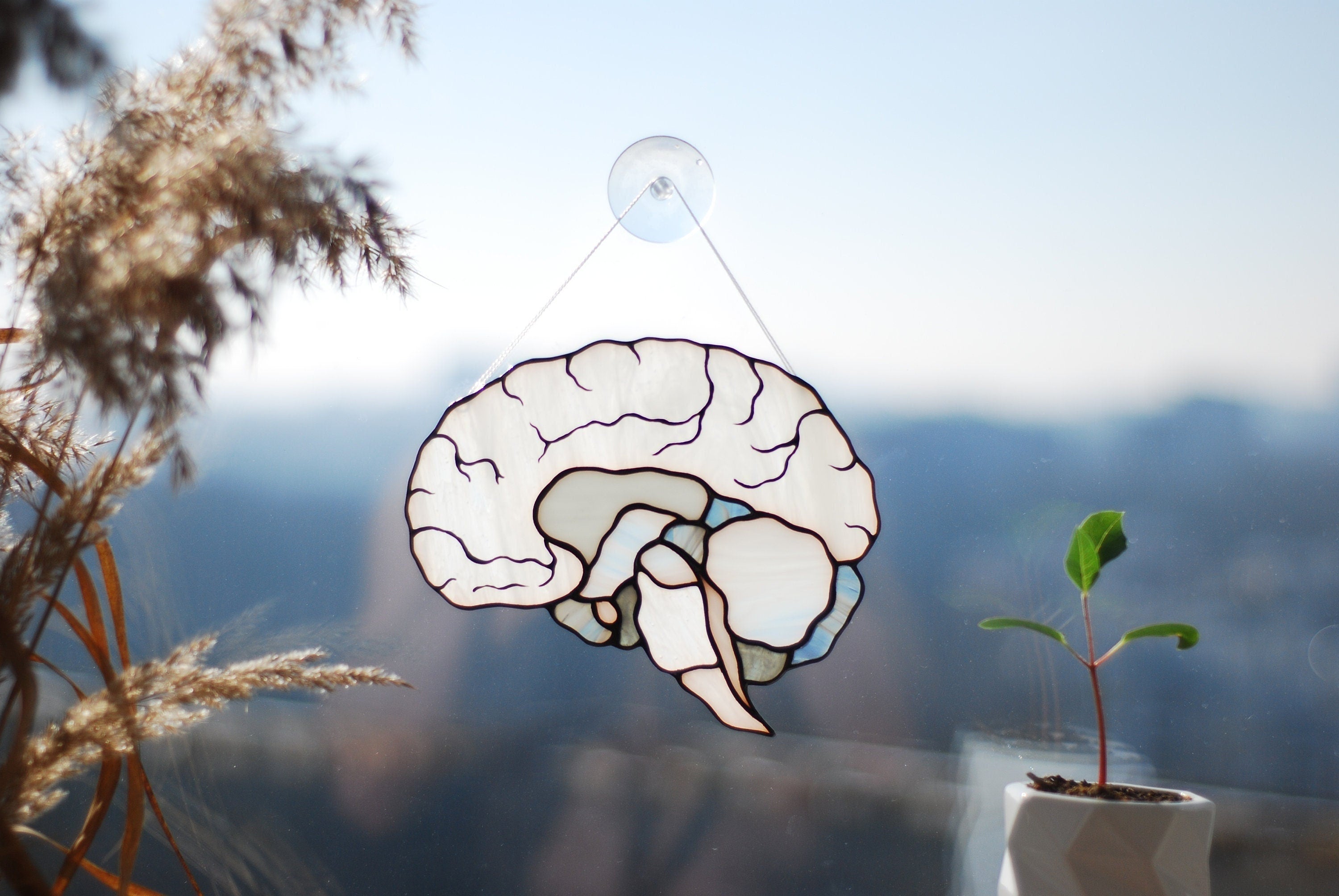 Human Brain Stained Glass Suncatcher, Anatomy Art Decor, Neurology Science Gift, Medical Professional Window Hanging Handcrafted Biology Art