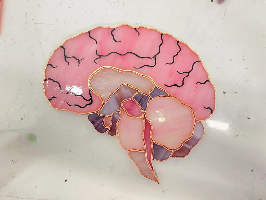 Stained Glass Brain Suncatcher - Anatomical Window Hanging, Personalized Gift