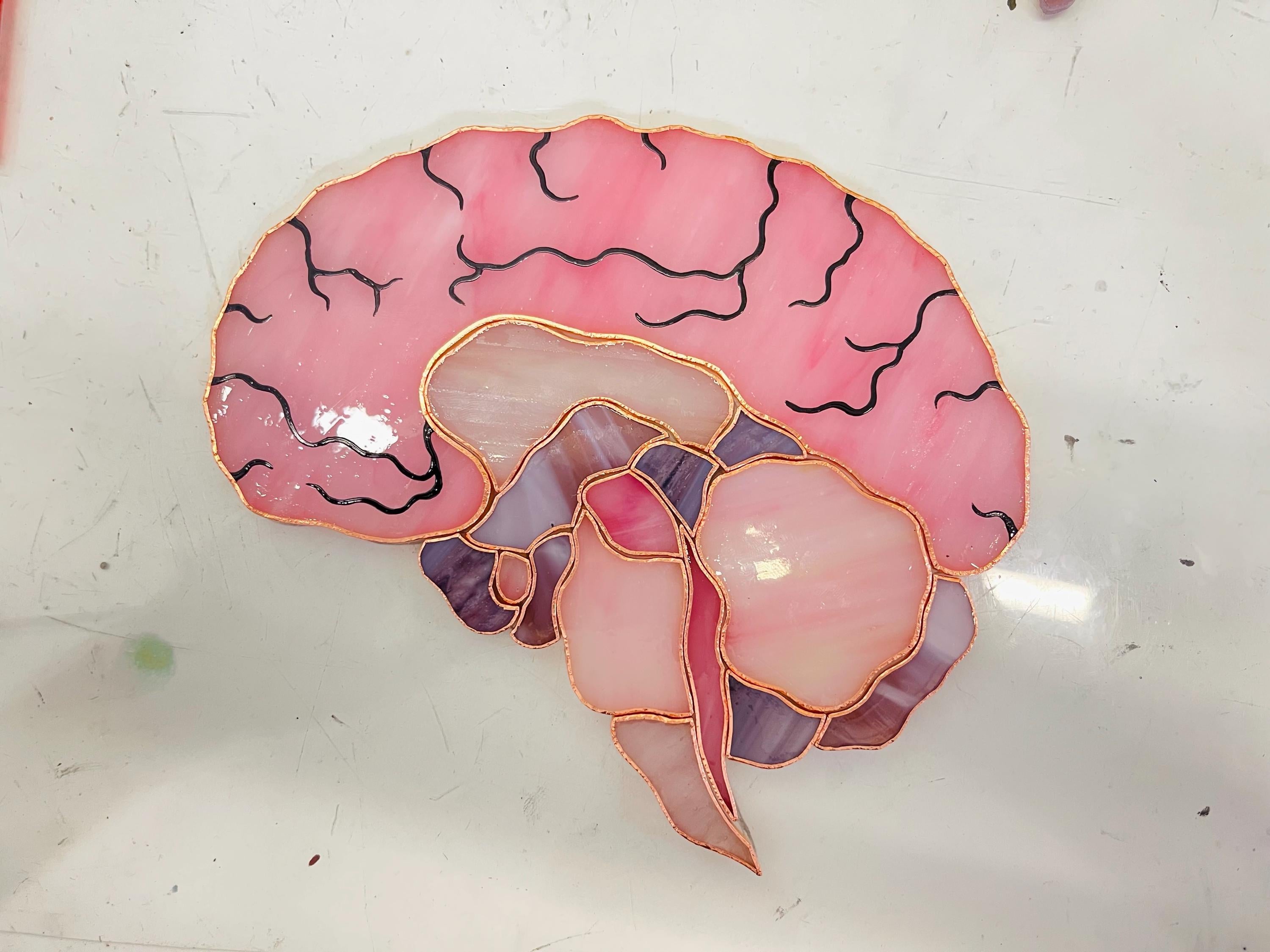 Stained Glass Brain Suncatcher - Anatomical Window Hanging, Personalized Gift