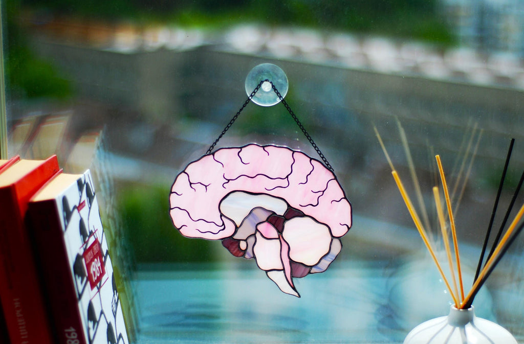 Stained Glass Brain Suncatcher - Anatomical Window Hanging, Personalized Gift