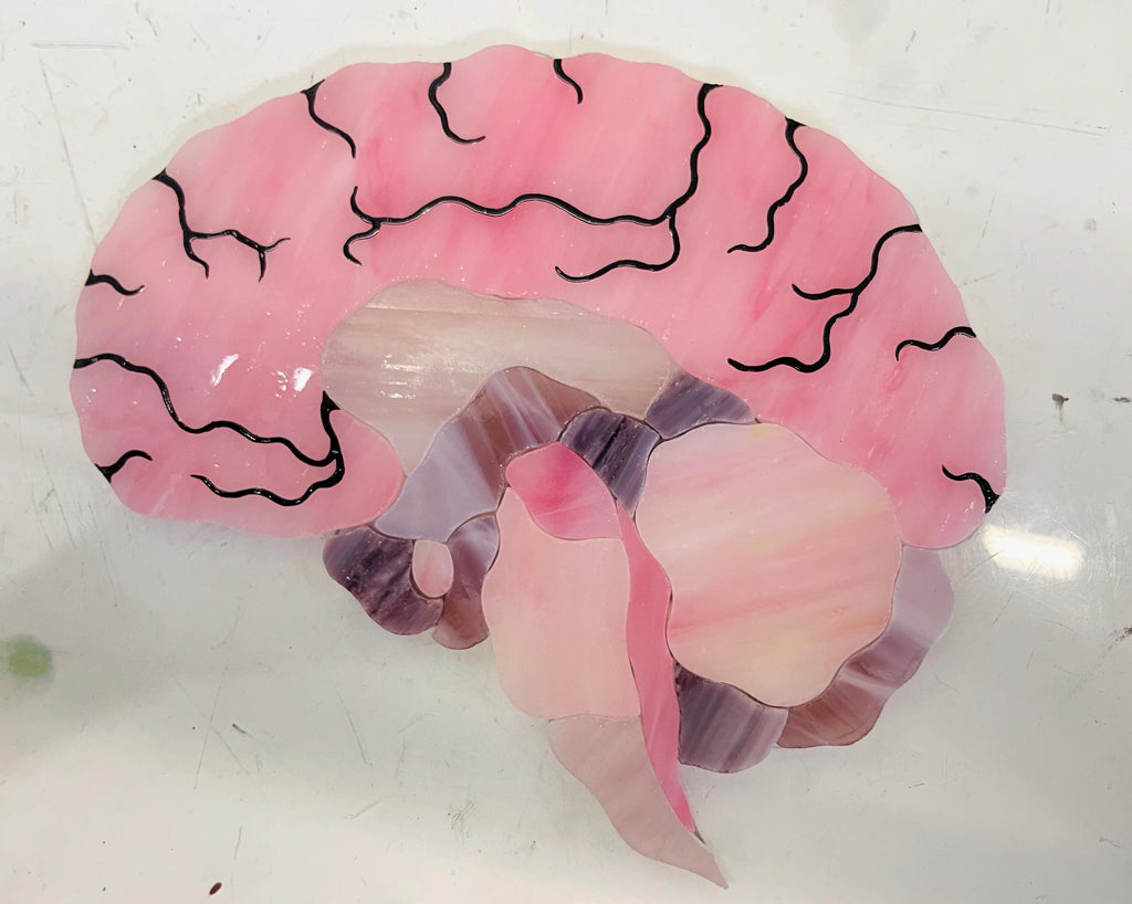 Stained Glass Brain Suncatcher - Anatomical Window Hanging, Personalized Gift