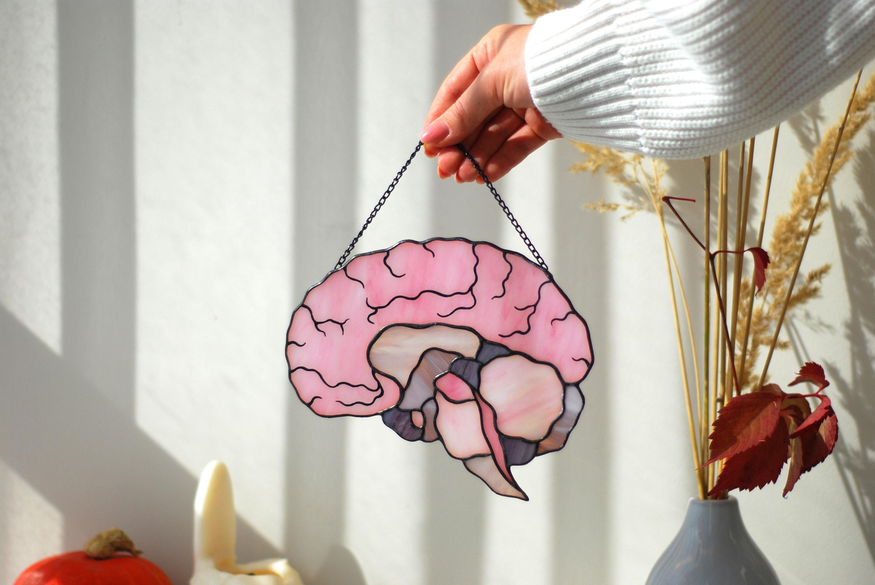 Stained Glass Brain Suncatcher - Anatomical Window Hanging, Personalized Gift