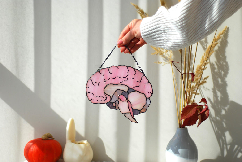 Stained Glass Brain Suncatcher - Anatomical Window Hanging, Personalized Gift