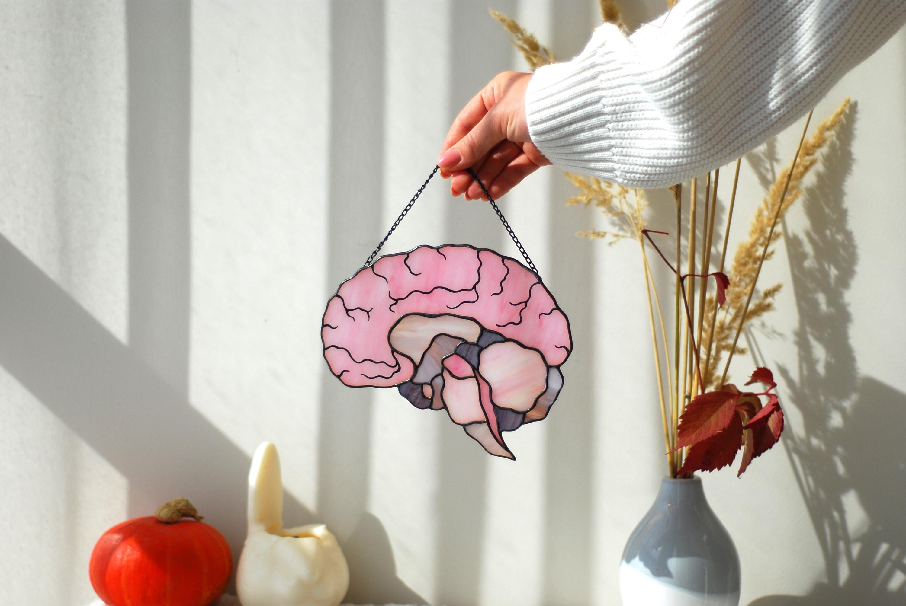 Stained Glass Brain Suncatcher - Anatomical Window Hanging, Personalized Gift